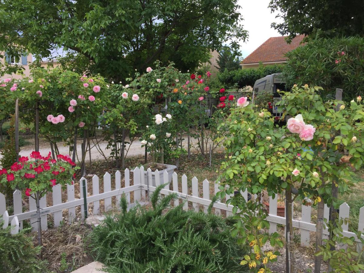 索尔古河畔的恩特莱奎斯La Ferme De Tonton Jules Et Mame Julia住宿加早餐旅馆 外观 照片